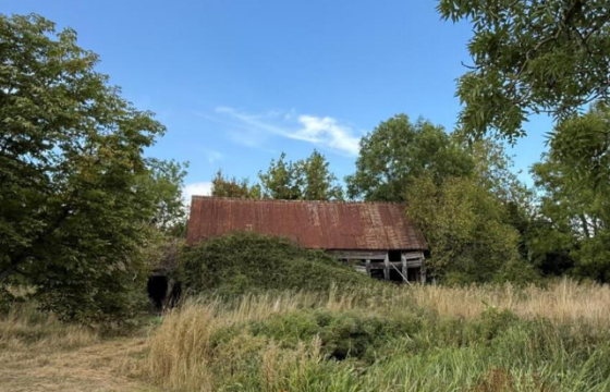 Conversion Opportunity in Ledbury photo